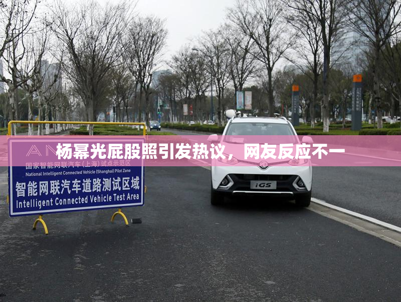 杨幂光屁股照引发热议，网友反应不一