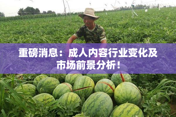 重磅消息：成人内容行业变化及市场前景分析！