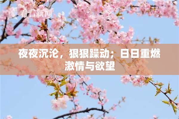 夜夜沉沦，狠狠躁动；日日重燃激情与欲望