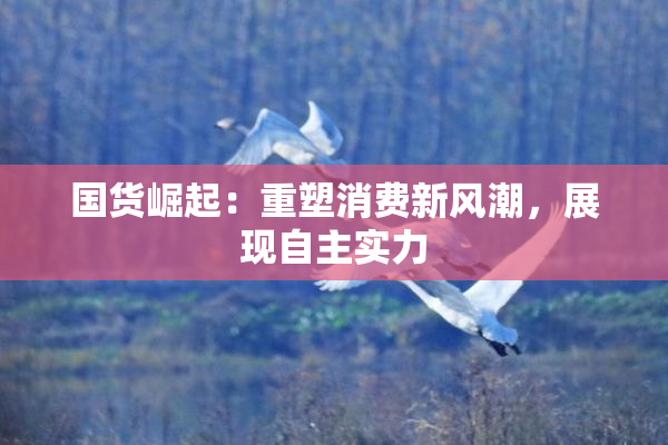 国货崛起：重塑消费新风潮，展现自主实力