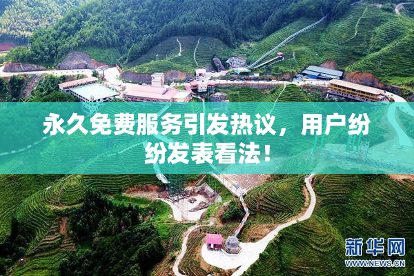 永久免费服务引发热议，用户纷纷发表看法！