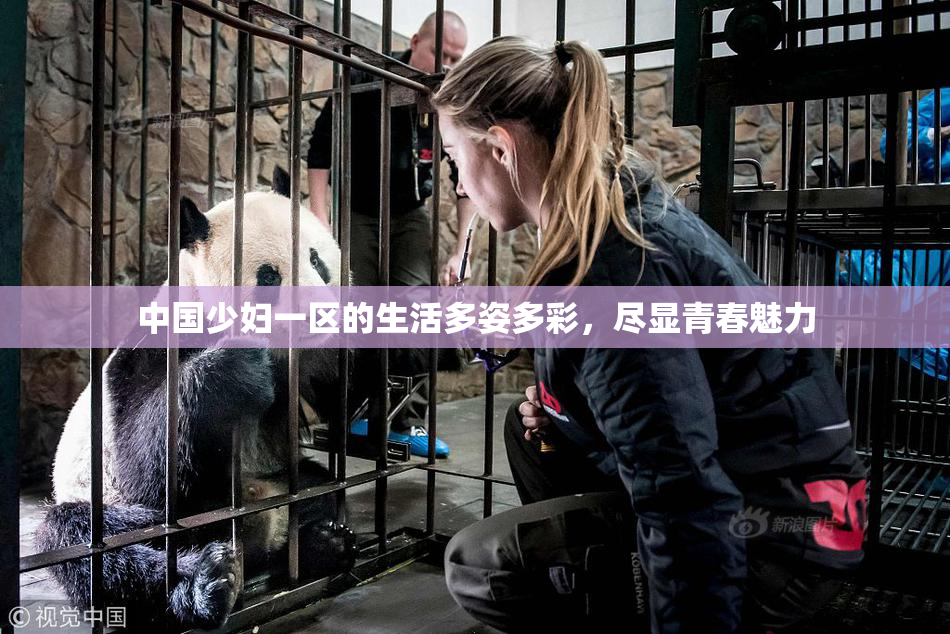 中国少妇一区的生活多姿多彩，尽显青春魅力