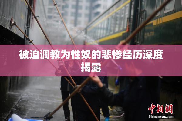 被迫调教为性奴的悲惨经历深度揭露