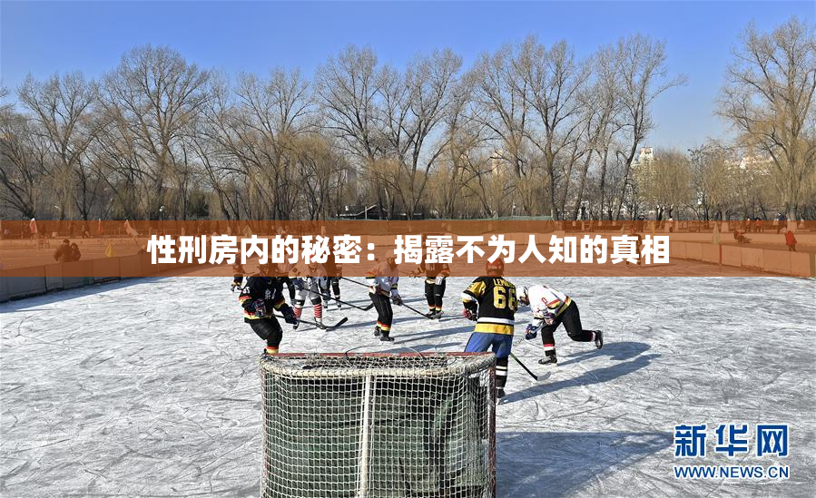 性刑房内的秘密：揭露不为人知的真相