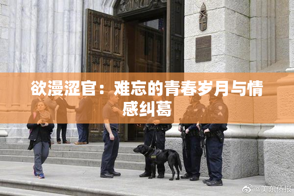 欲漫涩官：难忘的青春岁月与情感纠葛