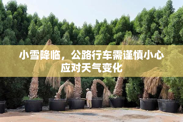 小雪降临，公路行车需谨慎小心应对天气变化