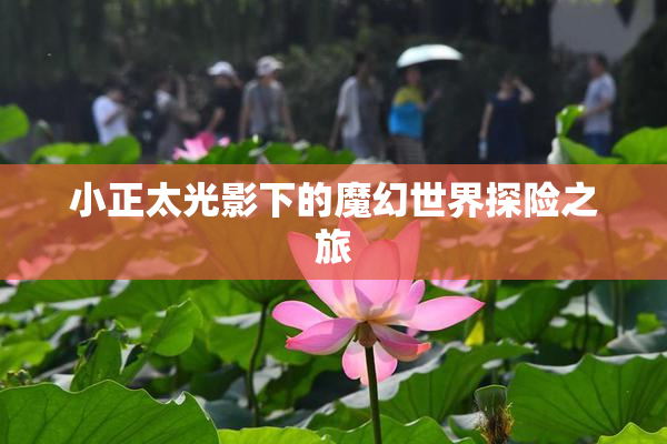 小正太光影下的魔幻世界探险之旅