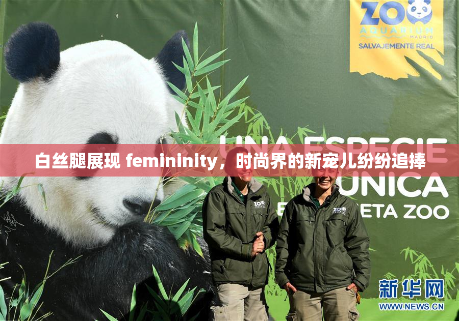 白丝腿展现 femininity，时尚界的新宠儿纷纷追捧