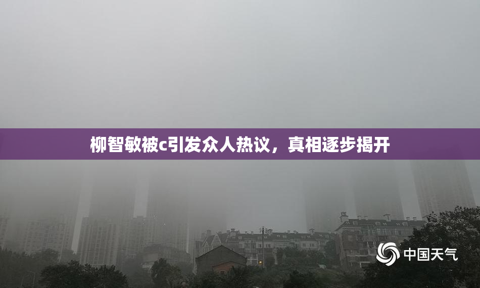 柳智敏被c引发众人热议，真相逐步揭开