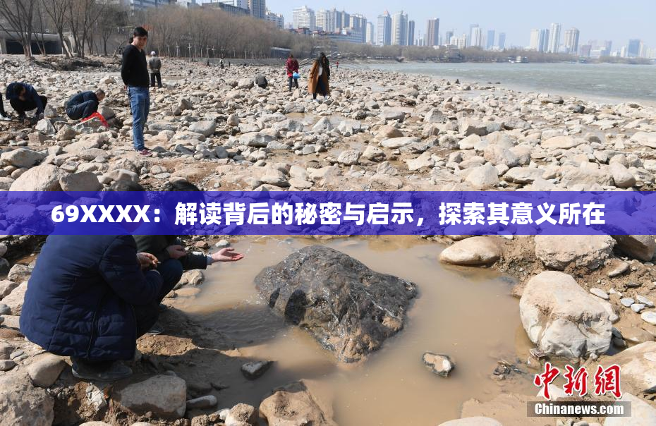 69ΧΧΧΧ：解读背后的秘密与启示，探索其意义所在