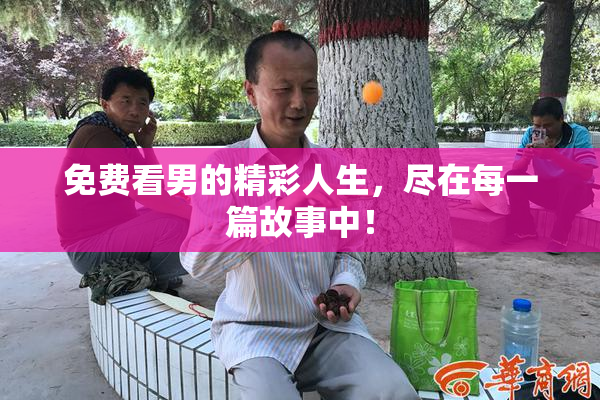 免费看男的精彩人生，尽在每一篇故事中！