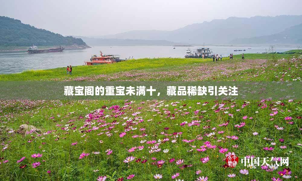 藏宝阁的重宝未满十，藏品稀缺引关注