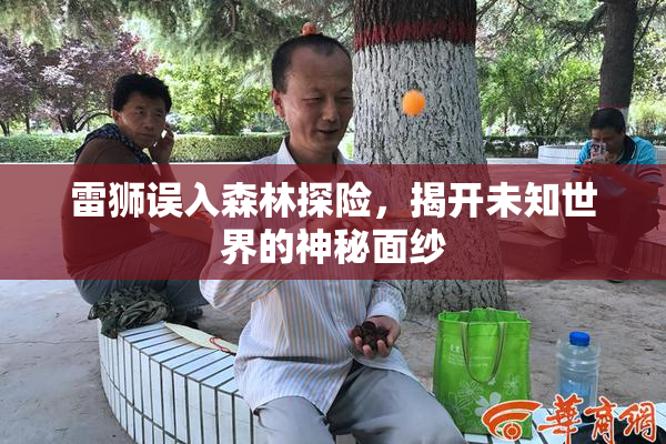 雷狮误入森林探险，揭开未知世界的神秘面纱