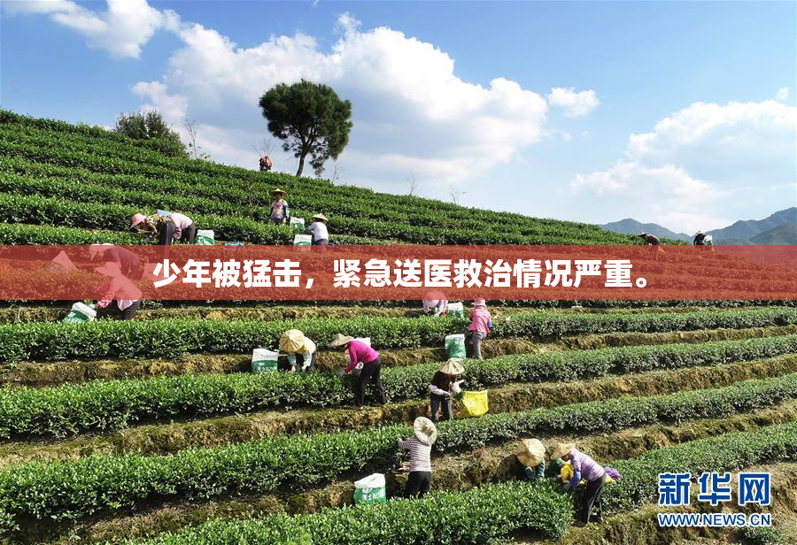 少年被猛击，紧急送医救治情况严重。