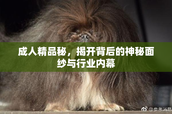 成人精品秘，揭开背后的神秘面纱与行业内幕
