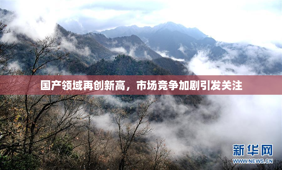 国产领域再创新高，市场竞争加剧引发关注