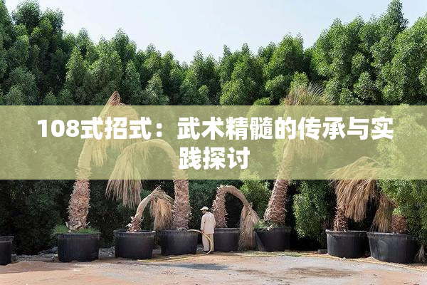 108式招式：武术精髓的传承与实践探讨