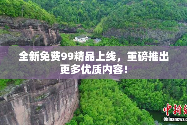 全新免费99精品上线，重磅推出更多优质内容！