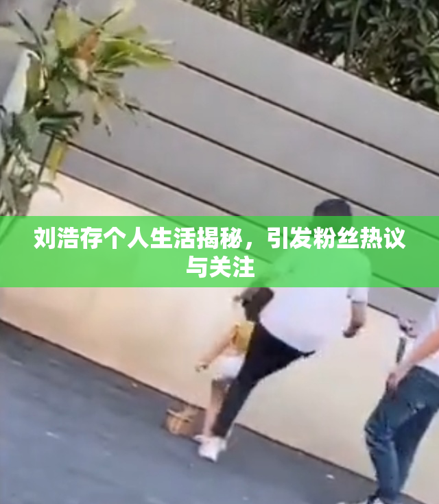 刘浩存个人生活揭秘，引发粉丝热议与关注