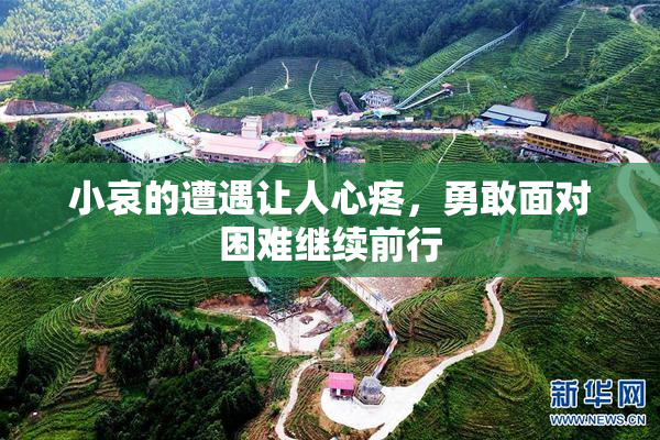 小哀的遭遇让人心疼，勇敢面对困难继续前行