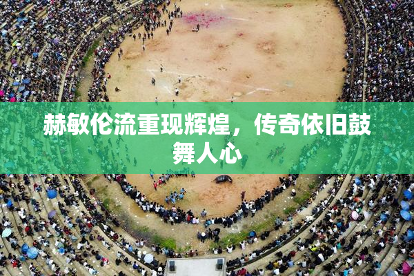 赫敏伦流重现辉煌，传奇依旧鼓舞人心