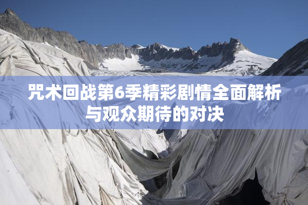 咒术回战第6季精彩剧情全面解析与观众期待的对决