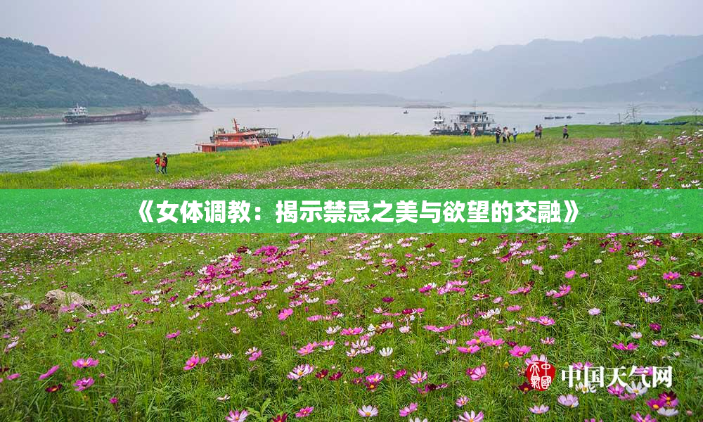 《女体调教：揭示禁忌之美与欲望的交融》
