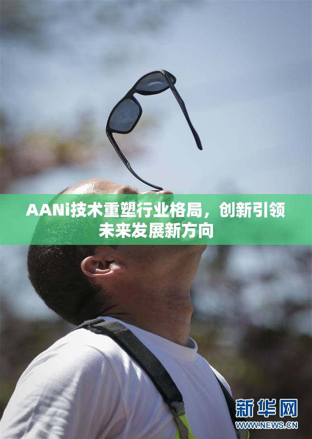 AANi技术重塑行业格局，创新引领未来发展新方向