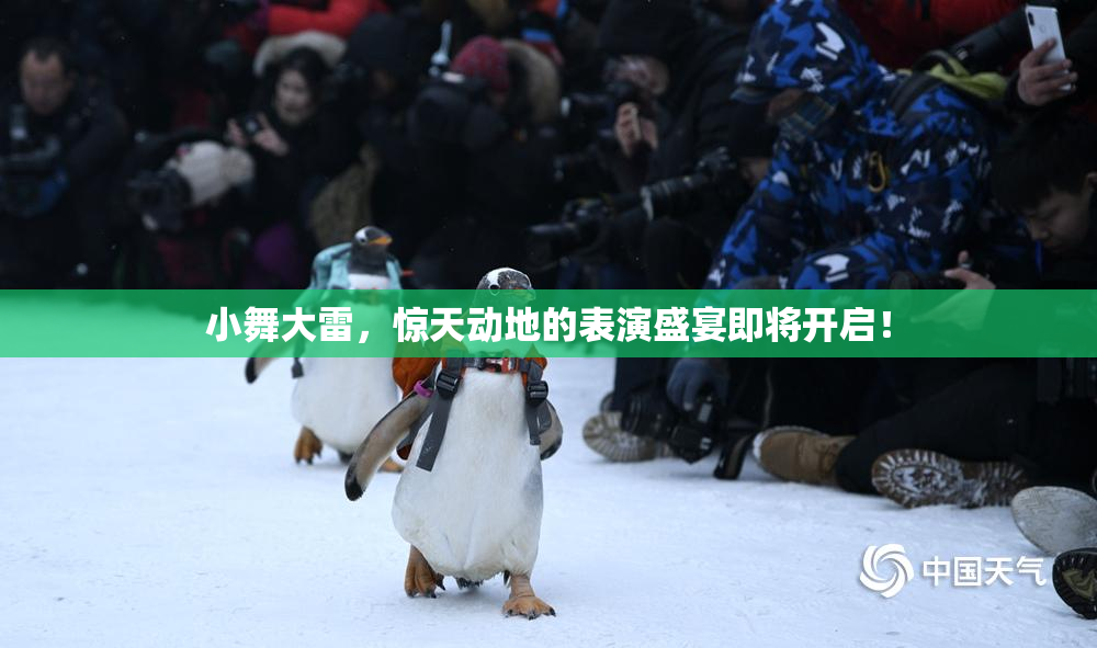 小舞大雷，惊天动地的表演盛宴即将开启！