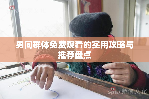 男同群体免费观看的实用攻略与推荐盘点