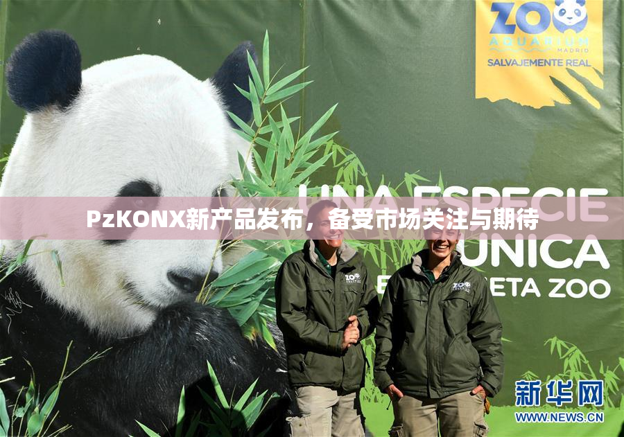 PzKONX新产品发布，备受市场关注与期待