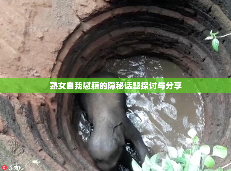熟女自我慰籍的隐秘话题探讨与分享