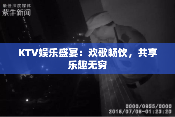 KTV娱乐盛宴：欢歌畅饮，共享乐趣无穷