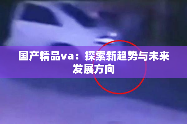 国产精品va：探索新趋势与未来发展方向