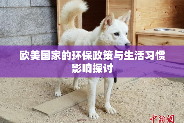 欧美国家的环保政策与生活习惯影响探讨
