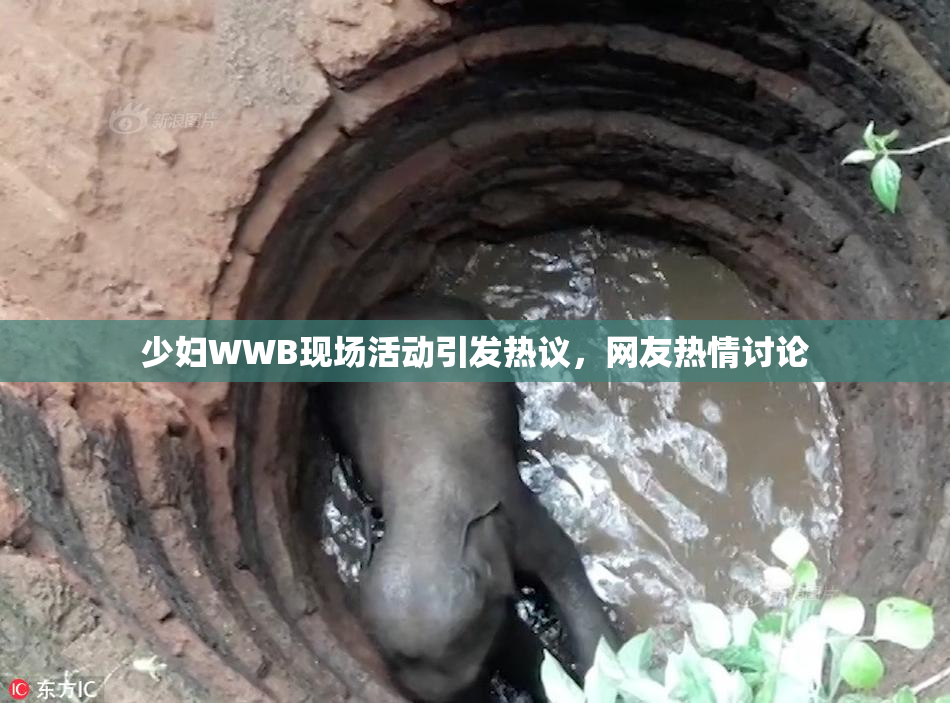 少妇WWB现场活动引发热议，网友热情讨论