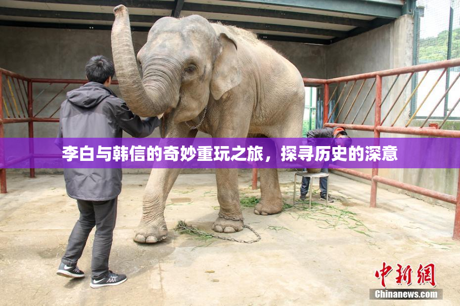 李白与韩信的奇妙重玩之旅，探寻历史的深意