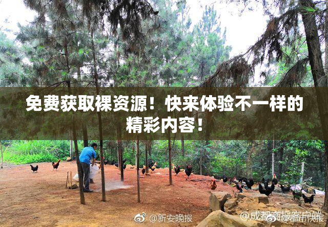 免费获取裸资源！快来体验不一样的精彩内容！