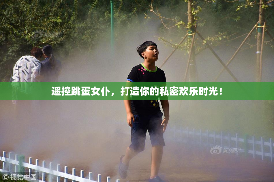 遥控跳蛋女仆，打造你的私密欢乐时光！