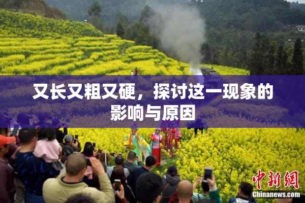 又长又粗又硬，探讨这一现象的影响与原因