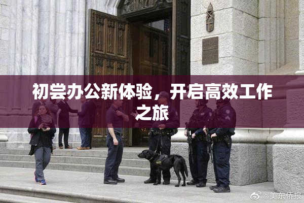 初尝办公新体验，开启高效工作之旅