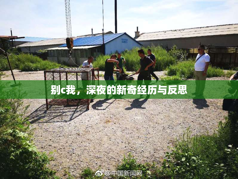 别c我，深夜的新奇经历与反思