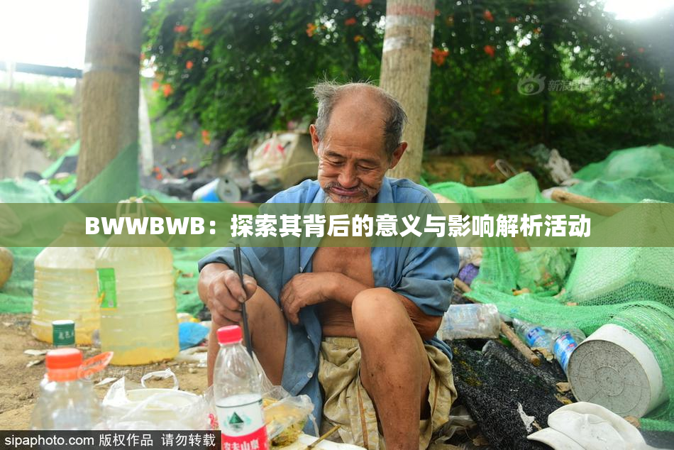 BWWBWB：探索其背后的意义与影响解析活动