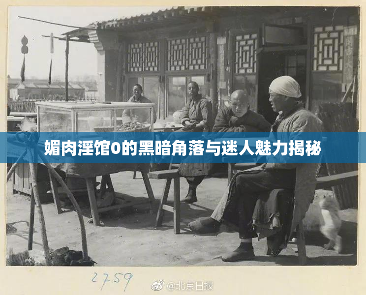 媚肉淫馆0的黑暗角落与迷人魅力揭秘