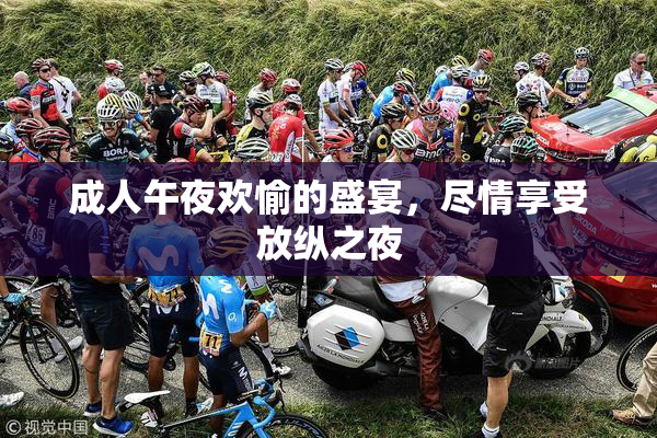 成人午夜欢愉的盛宴，尽情享受放纵之夜