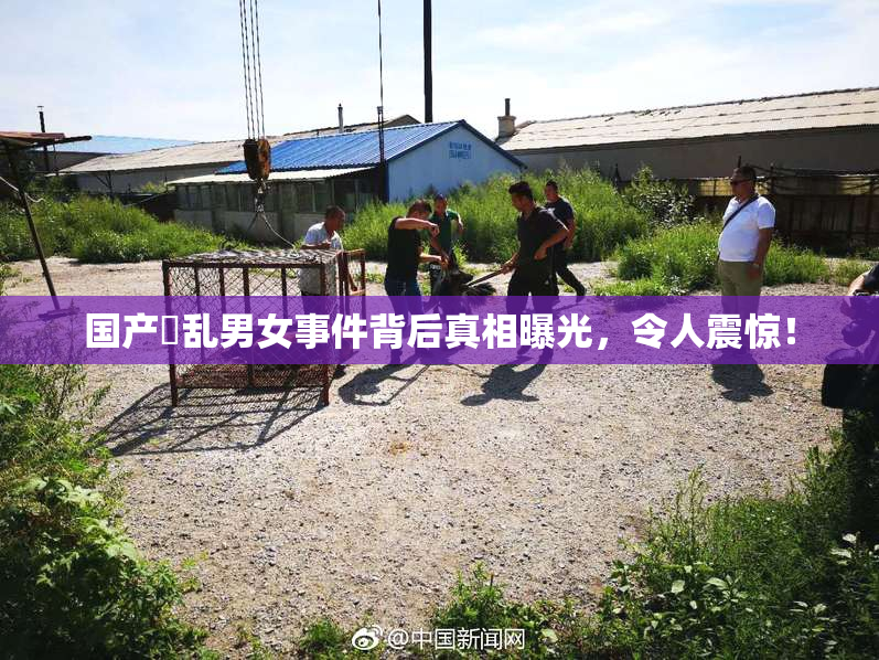 国产婬乱男女事件背后真相曝光，令人震惊！