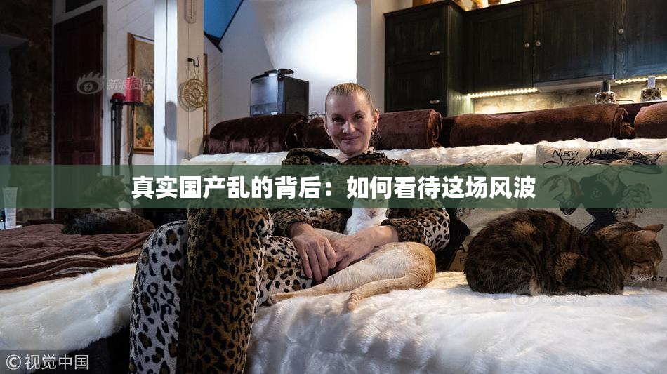 真实国产乱的背后：如何看待这场风波