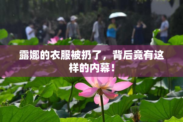 露娜的衣服被扔了，背后竟有这样的内幕！