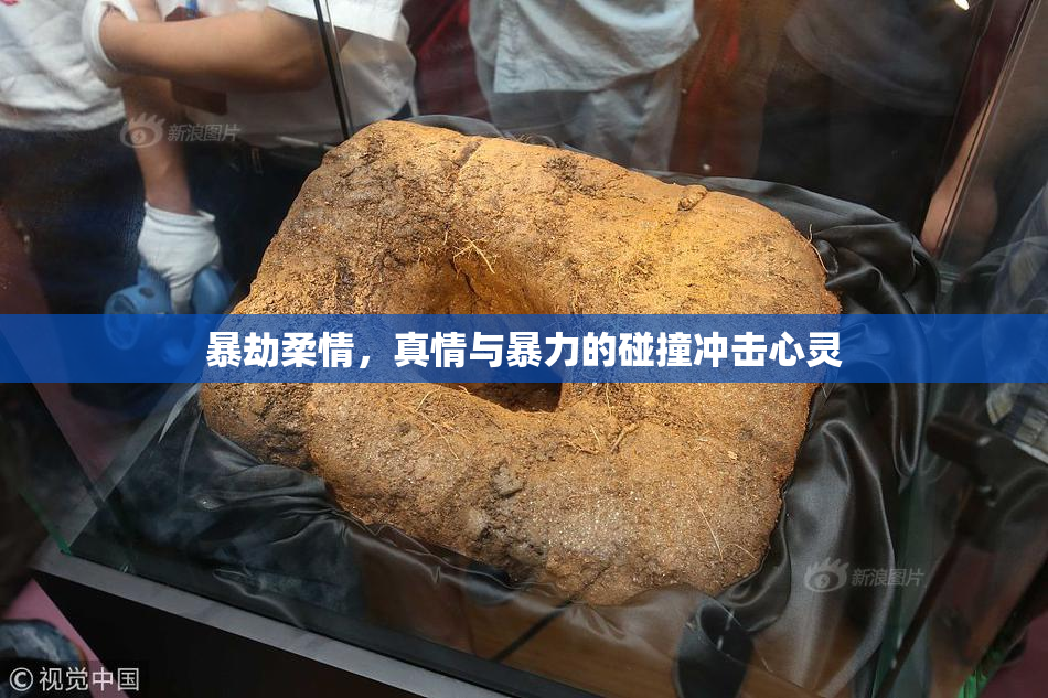 暴劫柔情，真情与暴力的碰撞冲击心灵