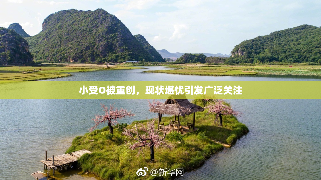 小受O被重创，现状堪忧引发广泛关注